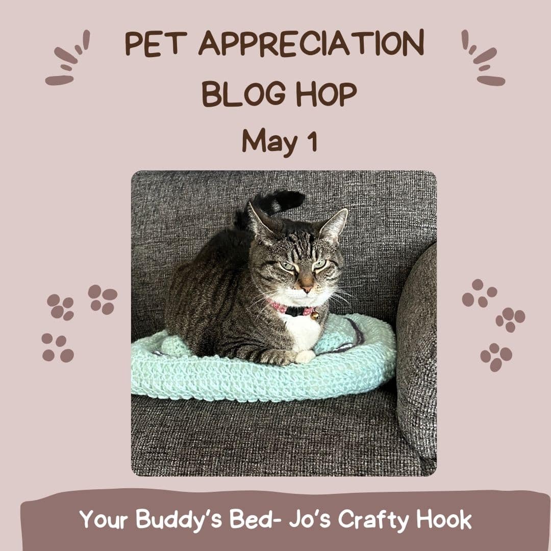 Your Buddy’s Bed Crochet Pattern