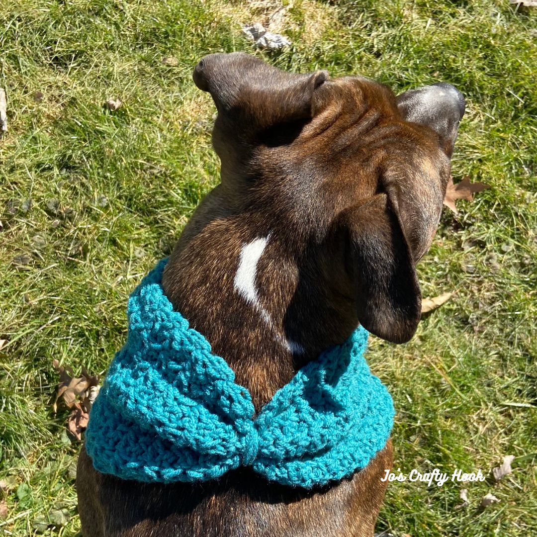 Bow Wow Cowl Free Crochet Pattern